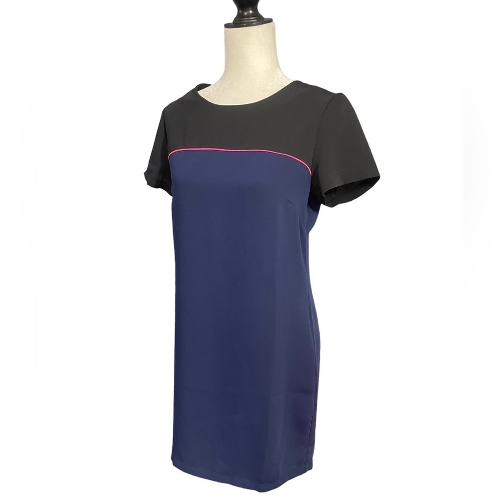Cynthia Rowley Minimalist Blue, Black Shift Dress
